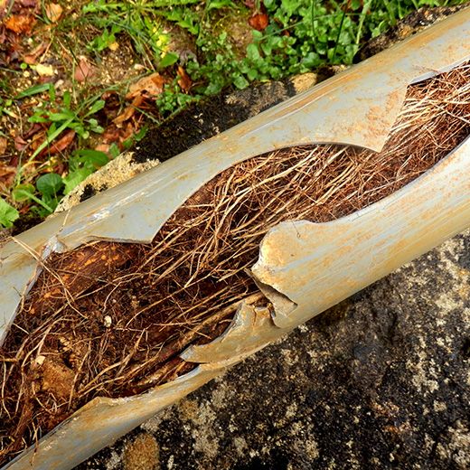 Same Day Drain Sewer & Rooter Pros Across Bethlehem